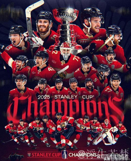 佛罗里达美洲豹5-4击败埃德蒙顿油人，总决赛第二场精彩集锦